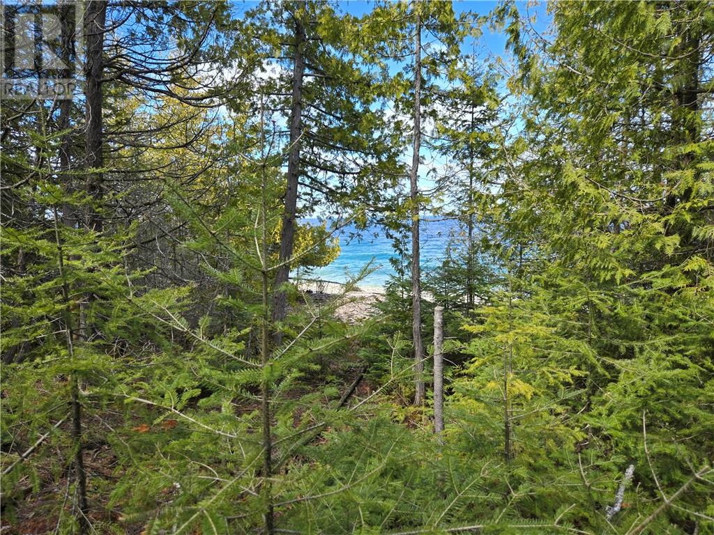 Lot 5 31m-209 Water Street, Meldrum Bay, Ontario  P0P 1R0 - Photo 4 - 2127167