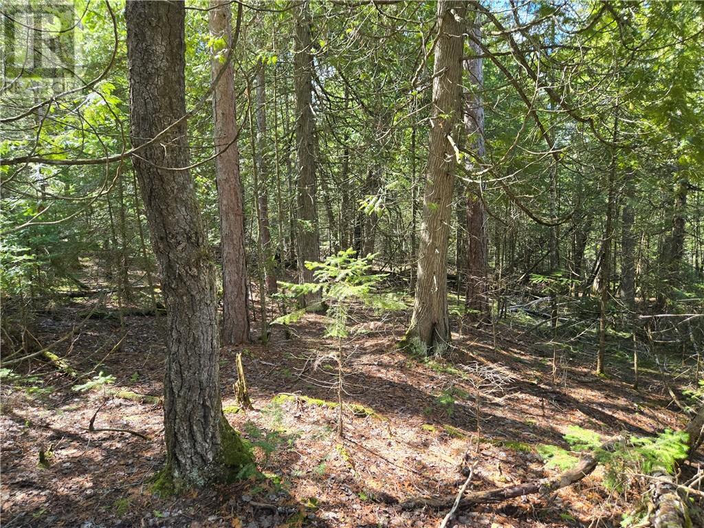 Lot 5 31m-209 Water Street, Meldrum Bay, Ontario  P0P 1R0 - Photo 7 - 2127167