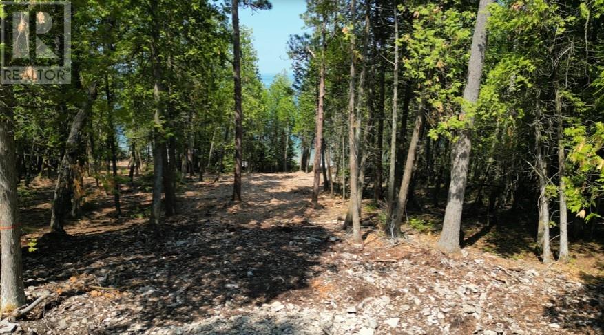 Lot 2 31m-209 Water Street, Meldrum Bay, Ontario  P0P 1R0 - Photo 20 - 2127166