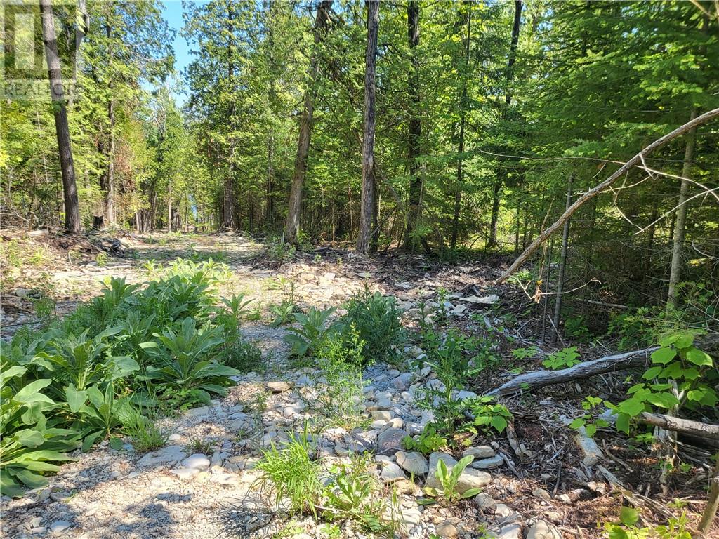 Lot 2 31m-209 Water Street, Meldrum Bay, Ontario  P0P 1R0 - Photo 3 - 2127166