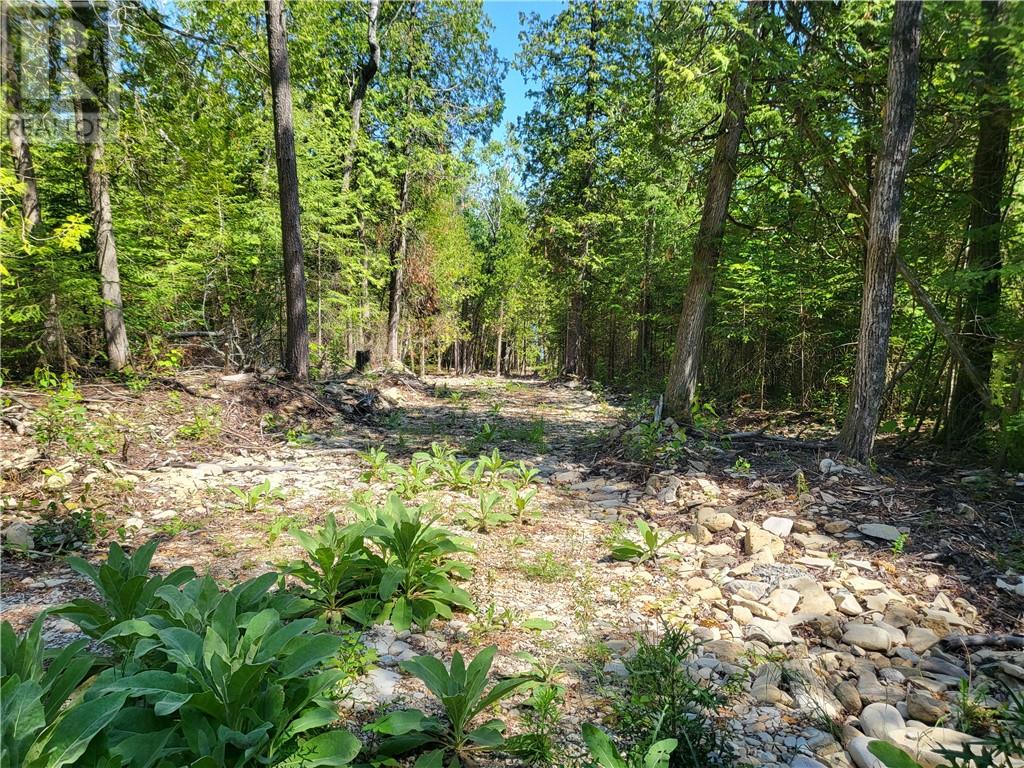 Lot 2 31m-209 Water Street, Meldrum Bay, Ontario  P0P 1R0 - Photo 4 - 2127166