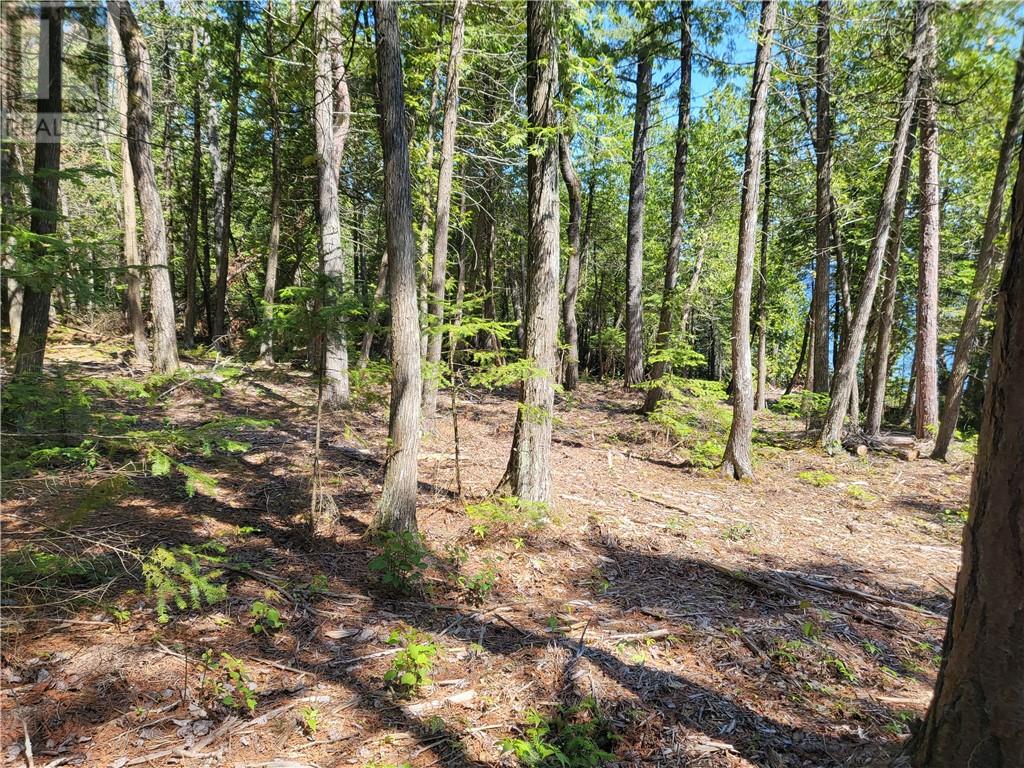 Lot 2 31m-209 Water Street, Meldrum Bay, Ontario  P0P 1R0 - Photo 9 - 2127166
