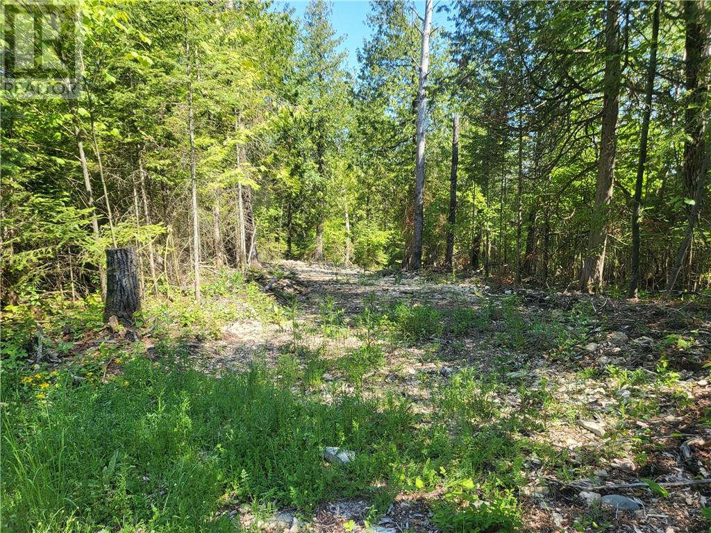 Lot 1 31m-209 Water Street, Meldrum Bay, Ontario  P0P 1R0 - Photo 21 - 2127165