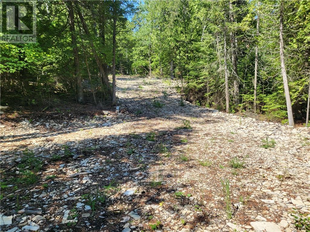 Lot 1 31m-209 Water Street, Meldrum Bay, Ontario  P0P 1R0 - Photo 4 - 2127165