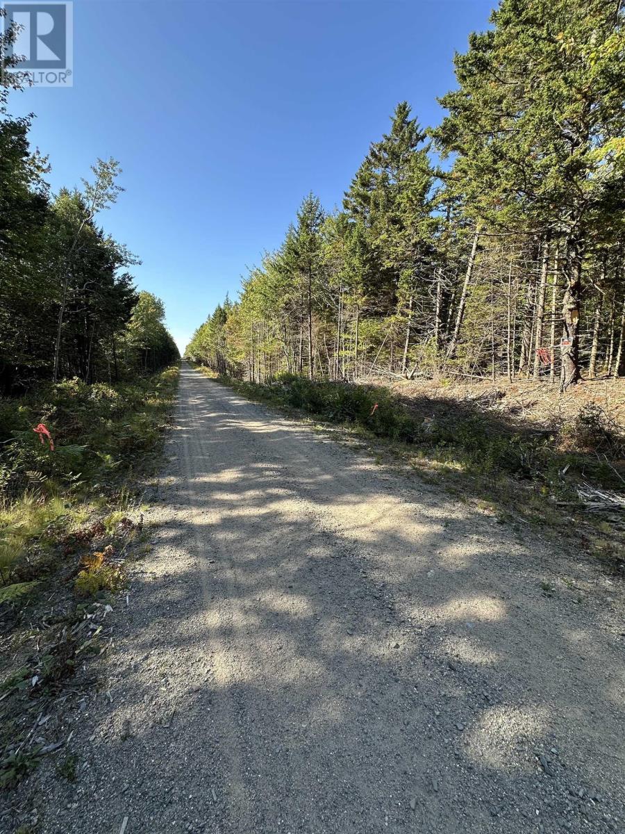 Highway 101, Grosses Coques, Nova Scotia  B0W 1M0 - Photo 16 - 202523799
