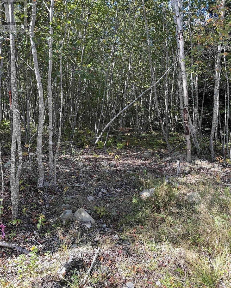 Highway 101, Grosses Coques, Nova Scotia  B0W 1M0 - Photo 17 - 202523799