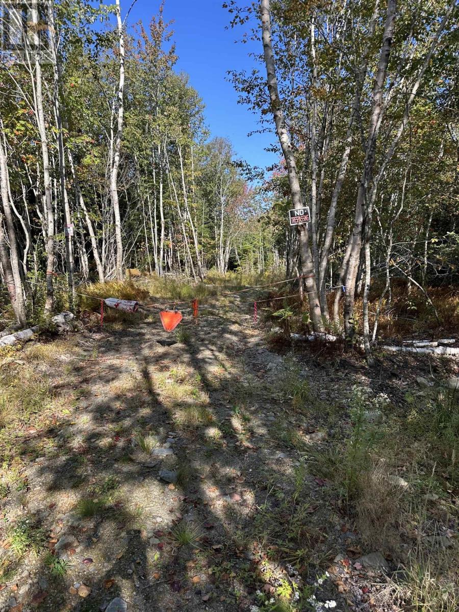 Highway 101, Grosses Coques, Nova Scotia  B0W 1M0 - Photo 22 - 202523799