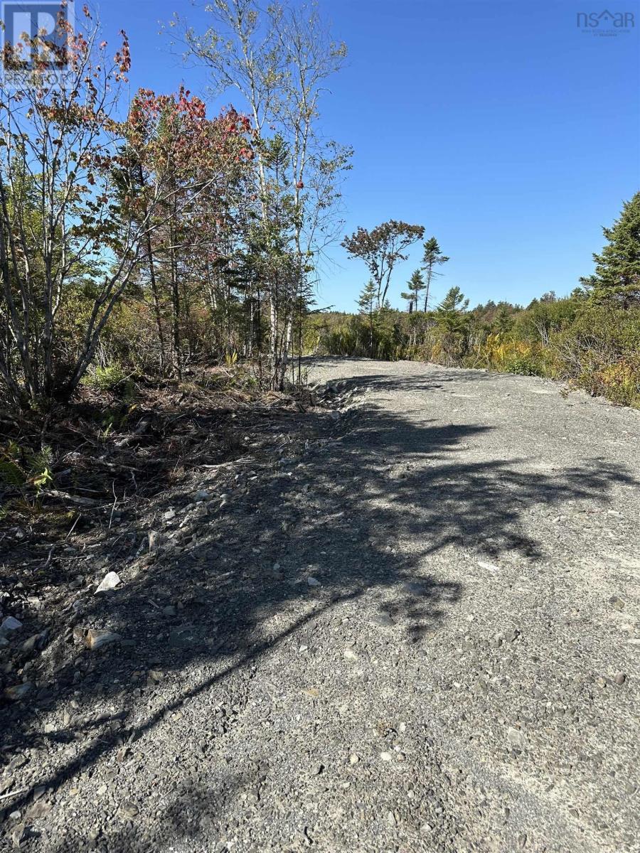 Highway 101, Grosses Coques, Nova Scotia  B0W 1M0 - Photo 20 - 202523799