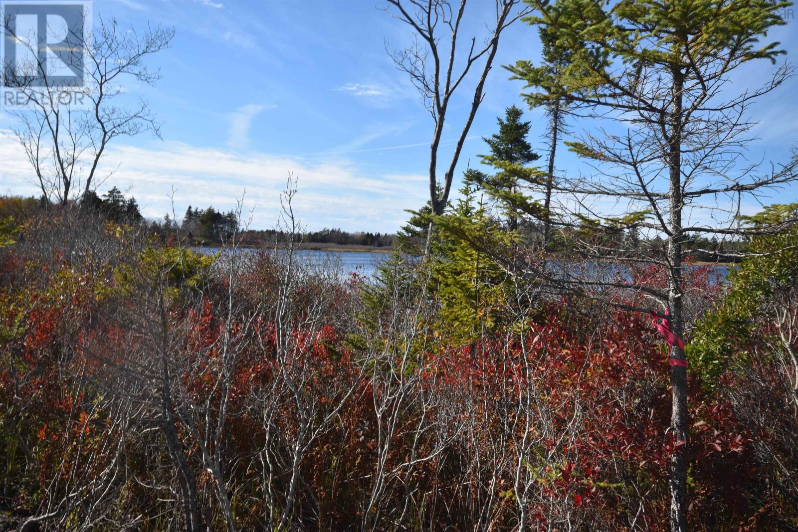 Highway 101, Grosses Coques, Nova Scotia  B0W 1M0 - Photo 3 - 202523799