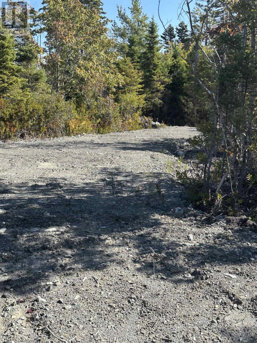 Highway 101, Grosses Coques, Nova Scotia  B0W 1M0 - Photo 33 - 202523799