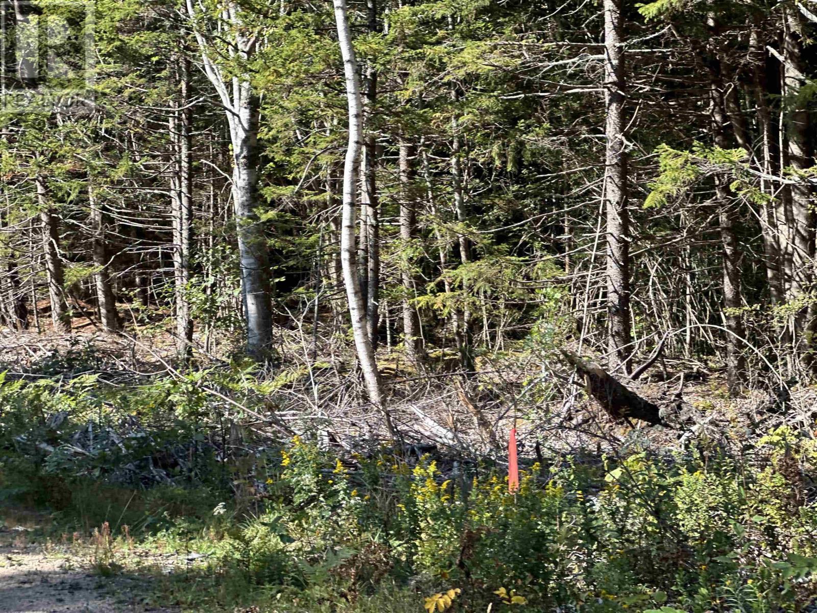 Highway 101, Grosses Coques, Nova Scotia  B0W 1M0 - Photo 31 - 202523799