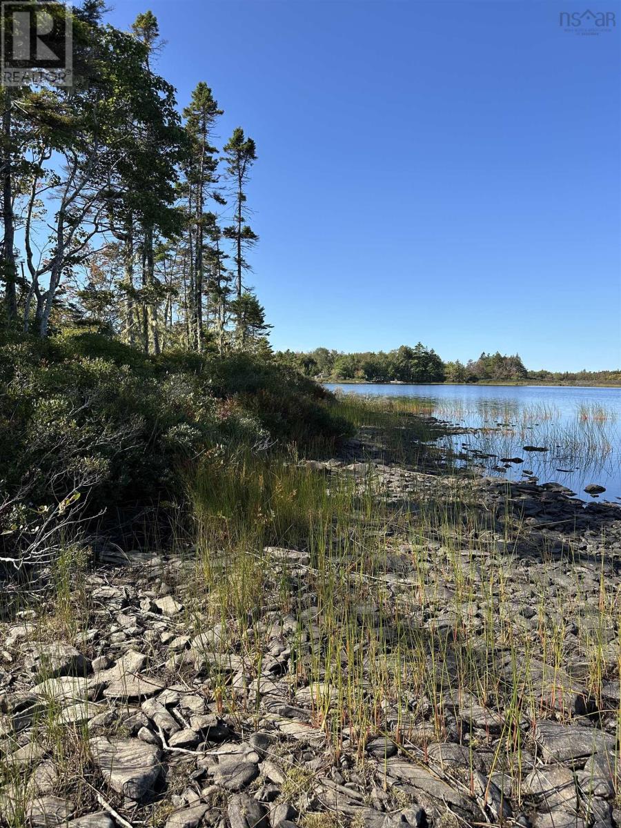 Highway 101, Grosses Coques, Nova Scotia  B0W 1M0 - Photo 29 - 202523799