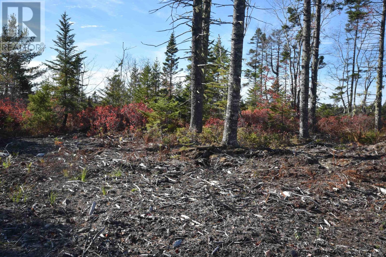 Highway 101, Grosses Coques, Nova Scotia  B0W 1M0 - Photo 6 - 202523799