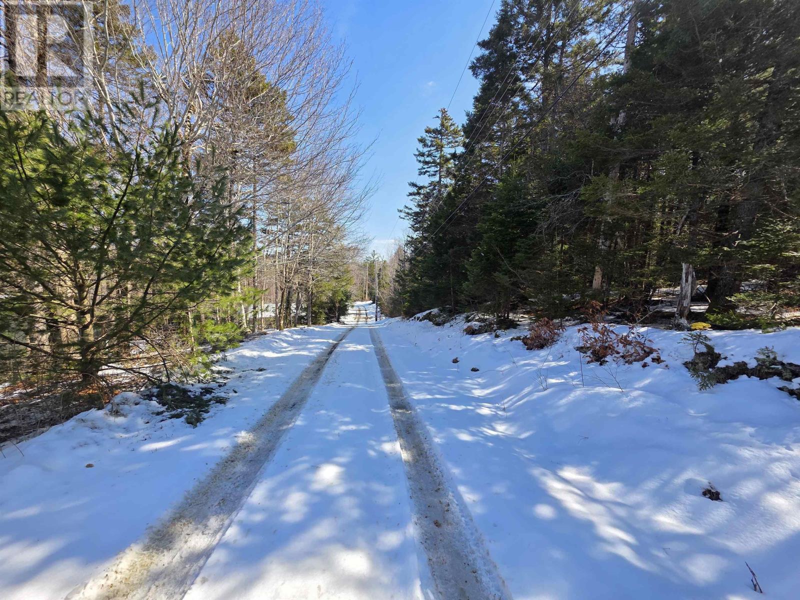 Camperdown School Road, Middlewood, Nova Scotia  B4V 6H8 - Photo 14 - 202604673