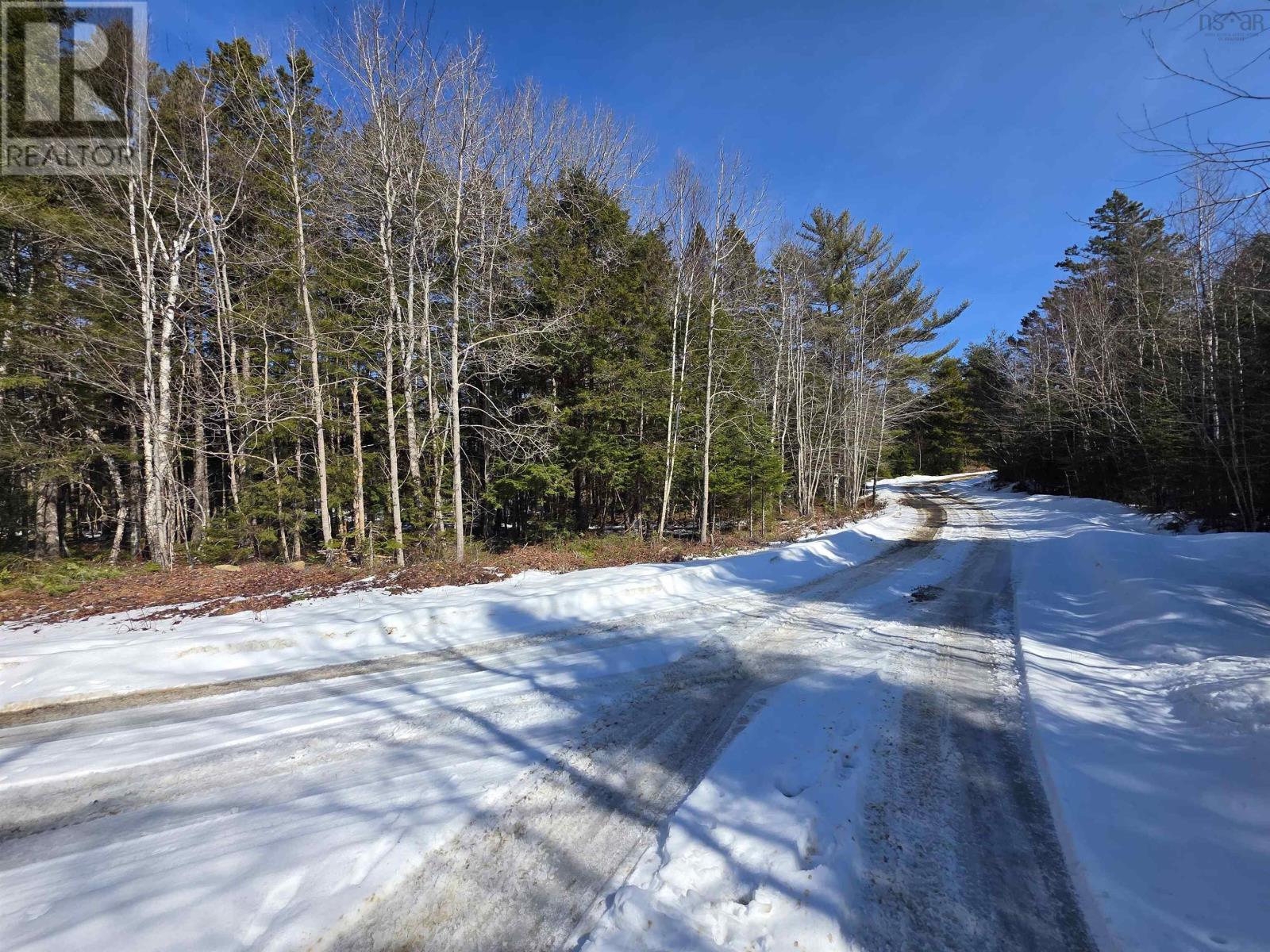 Camperdown School Road, Middlewood, Nova Scotia  B4V 6H8 - Photo 18 - 202604673