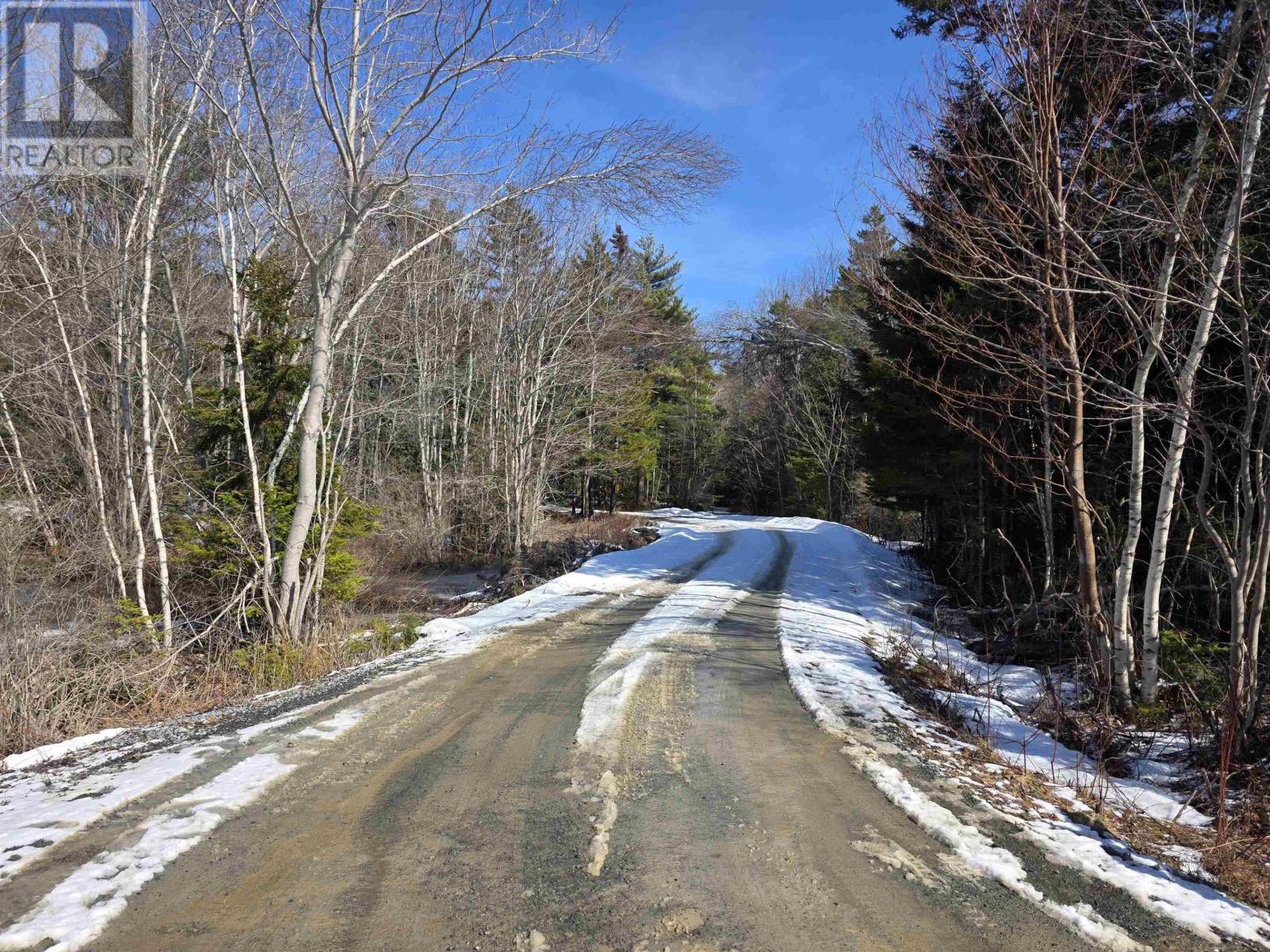 Camperdown School Road, Middlewood, Nova Scotia  B4V 6H8 - Photo 22 - 202604673