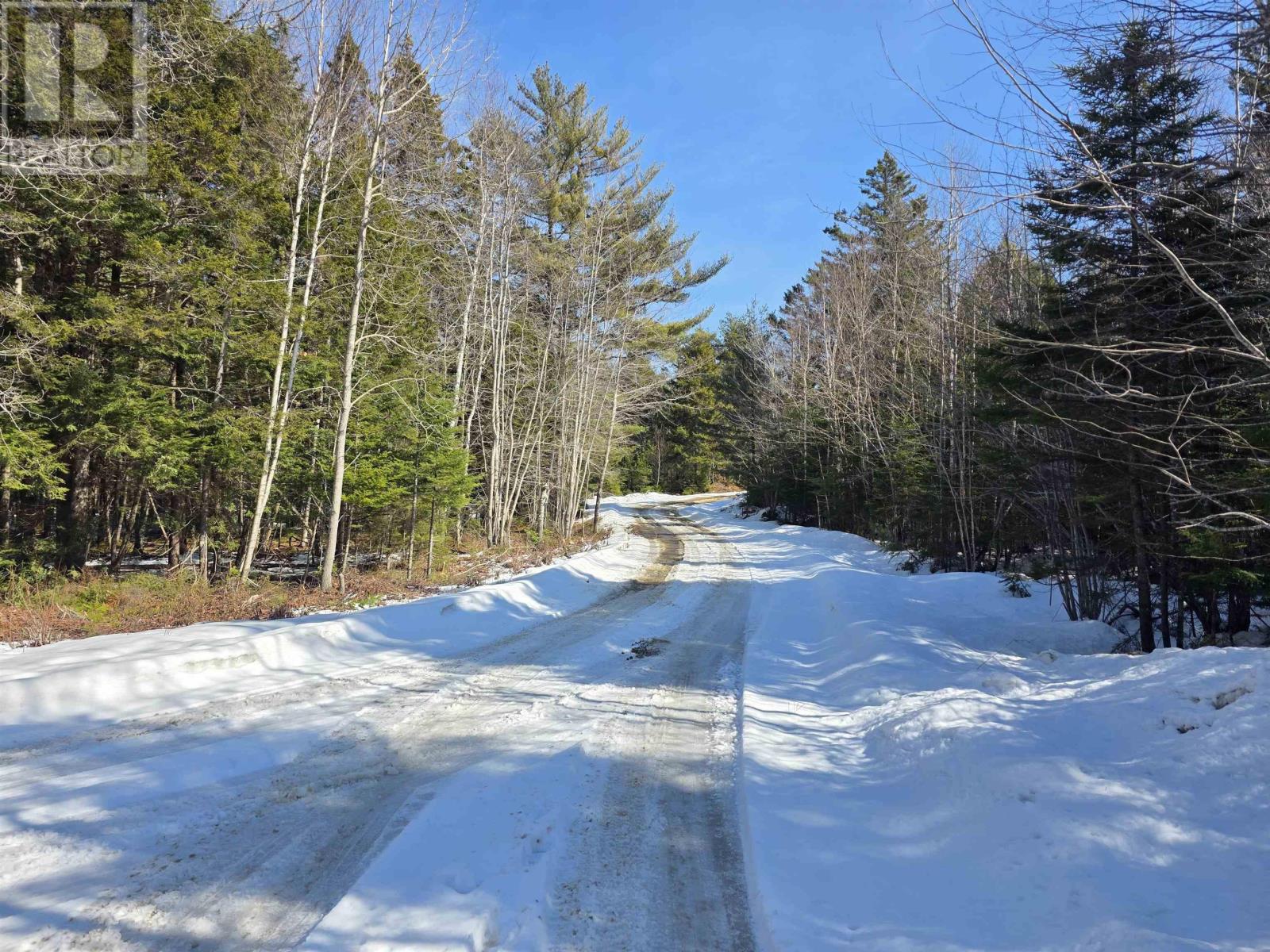 Camperdown School Road, Middlewood, Nova Scotia  B4V 6H8 - Photo 16 - 202604673