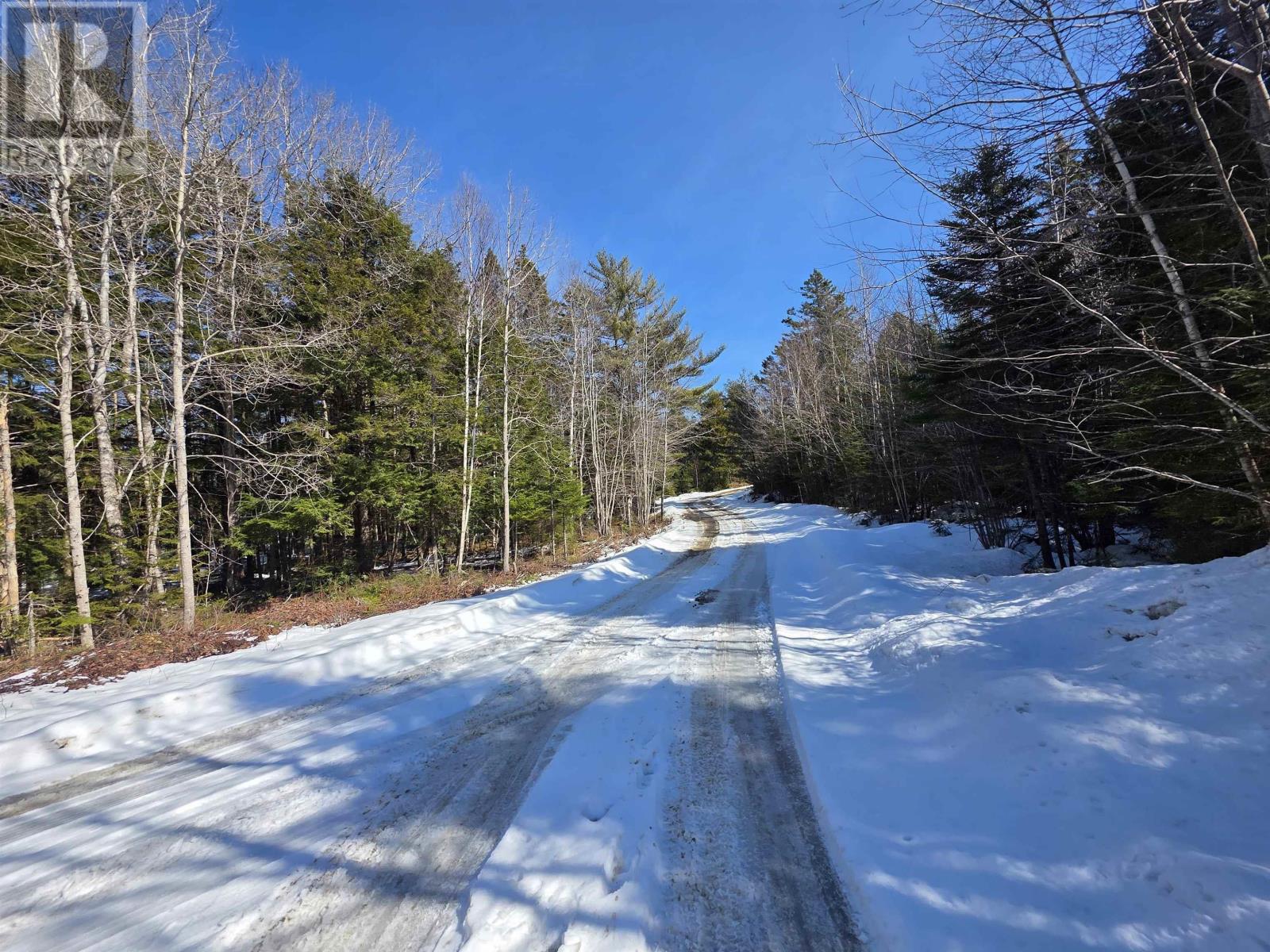 Camperdown School Road, Middlewood, Nova Scotia  B4V 6H8 - Photo 19 - 202604673