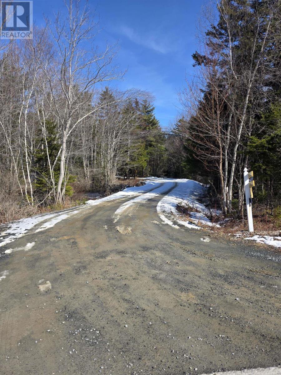 Camperdown School Road, Middlewood, Nova Scotia  B4V 6H8 - Photo 21 - 202604673