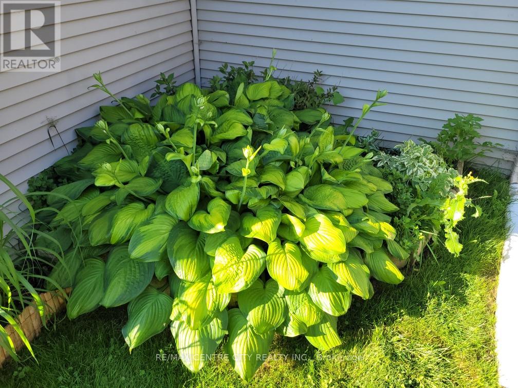 41 - 2189 Dundas Street E, London East, Ontario  N5V 1H3 - Photo 38 - X12866096