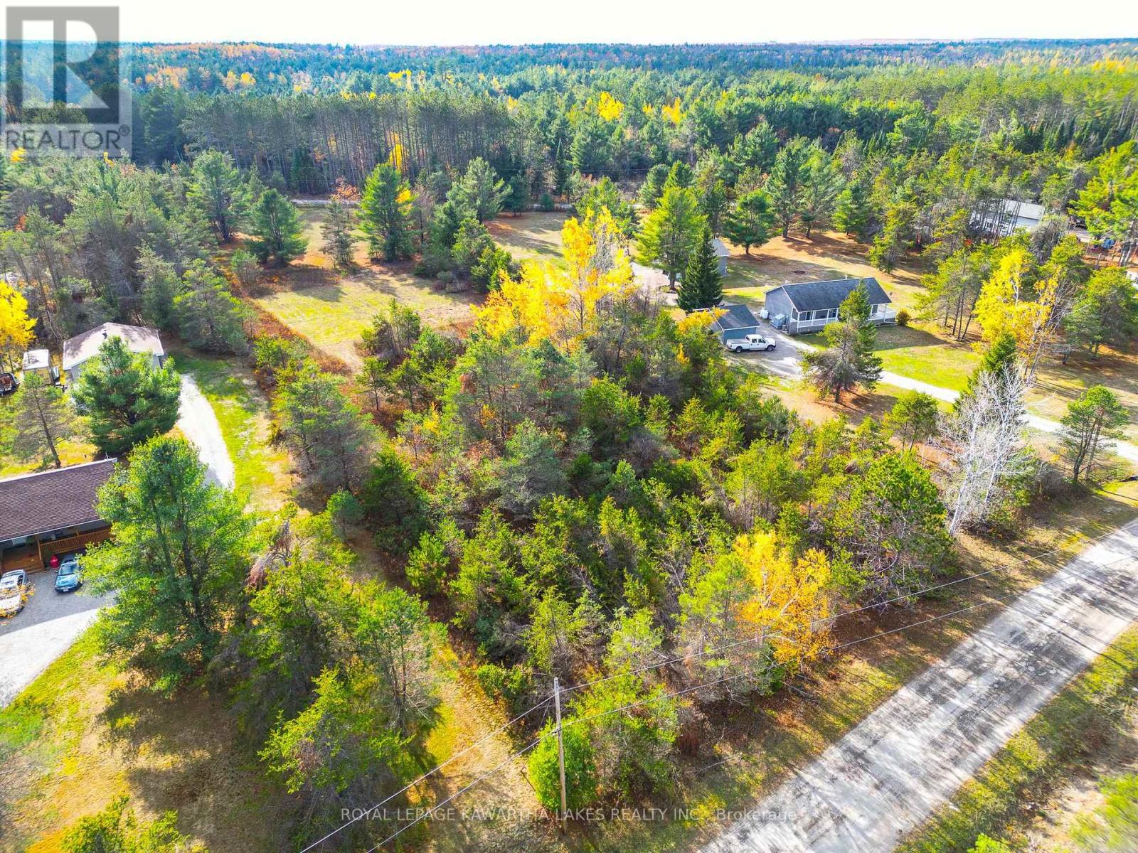 Lt 36 Hodgson Drive, Kawartha Lakes, Ontario  K0M 1C0 - Photo 1 - X13018478