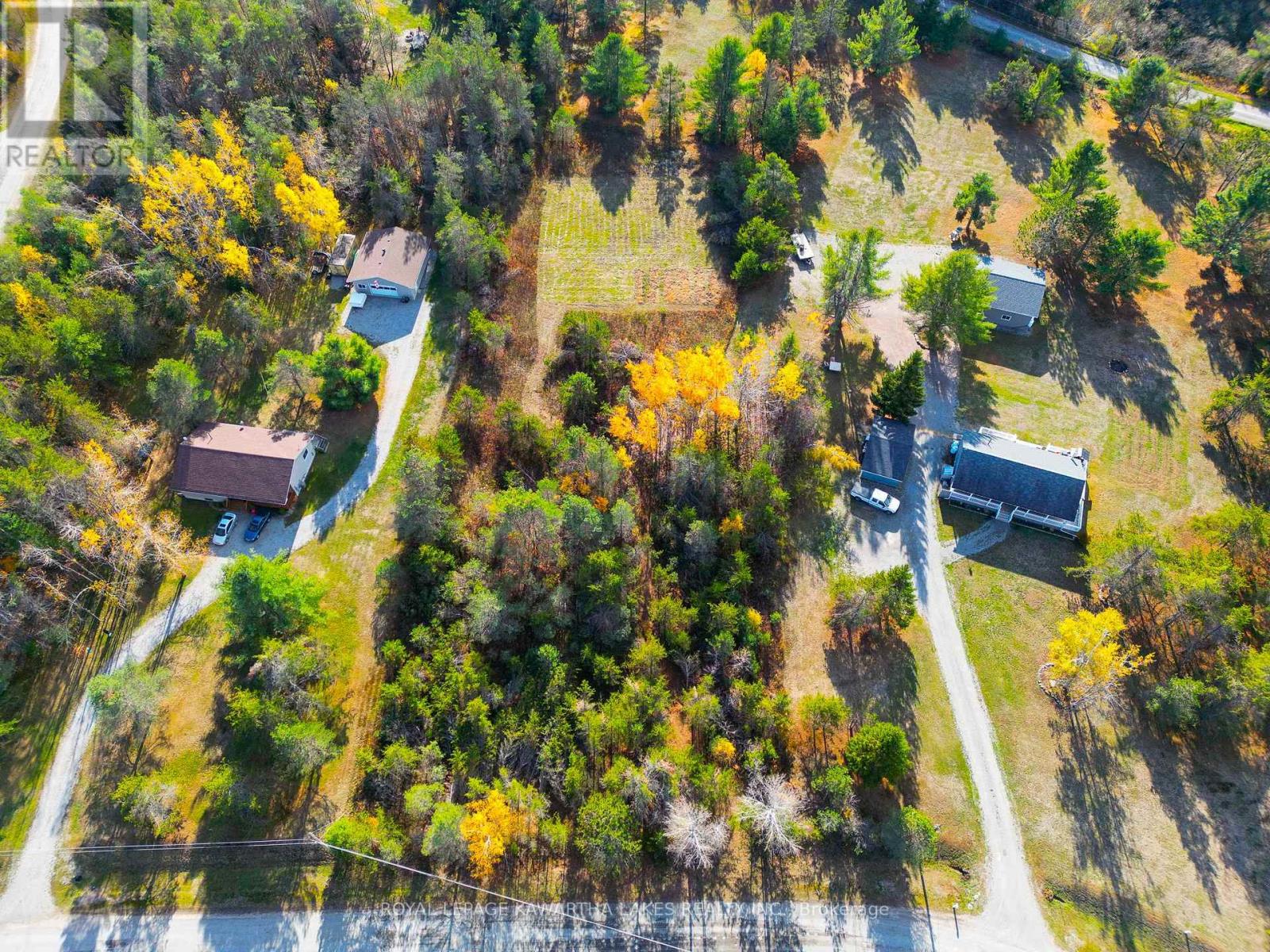 Lt 36 Hodgson Drive, Kawartha Lakes, Ontario  K0M 1C0 - Photo 10 - X13018478