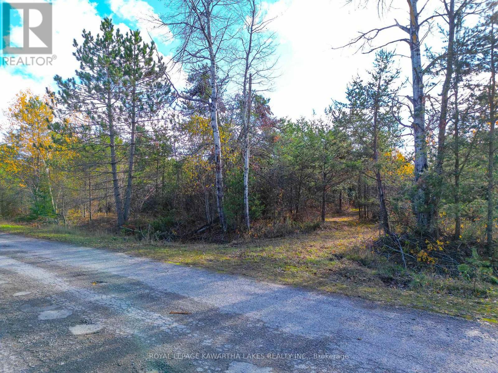 Lt 36 Hodgson Drive, Kawartha Lakes, Ontario  K0M 1C0 - Photo 12 - X13018478