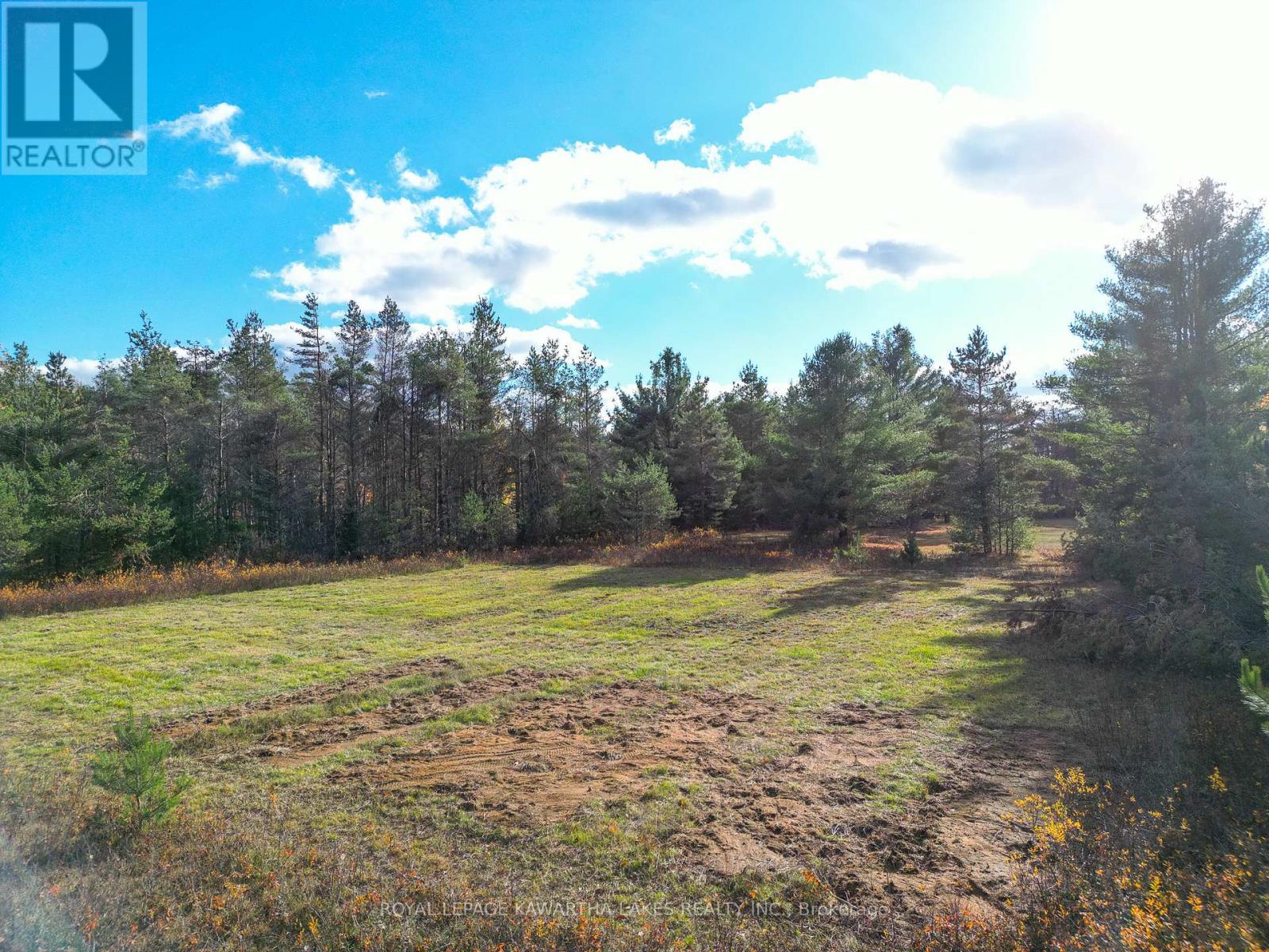 Lt 36 Hodgson Drive, Kawartha Lakes, Ontario  K0M 1C0 - Photo 3 - X13018478