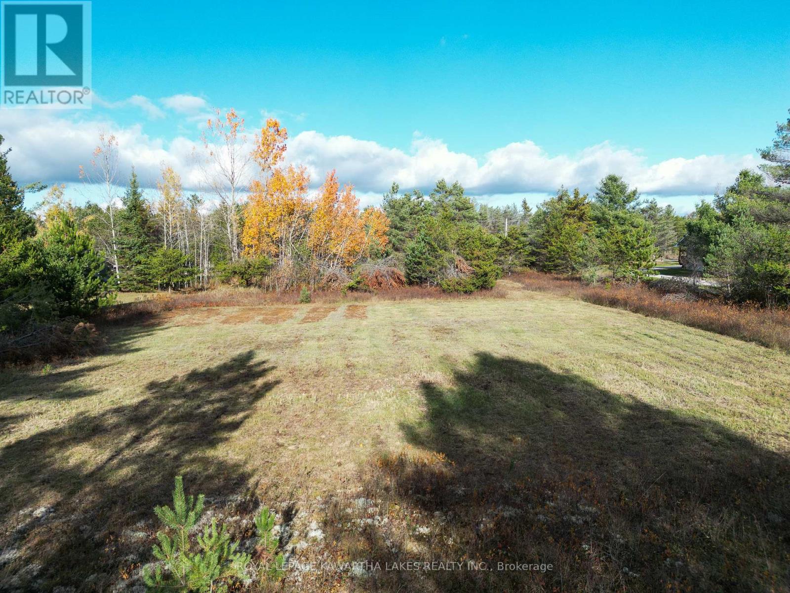 Lt 36 Hodgson Drive, Kawartha Lakes, Ontario  K0M 1C0 - Photo 4 - X13018478