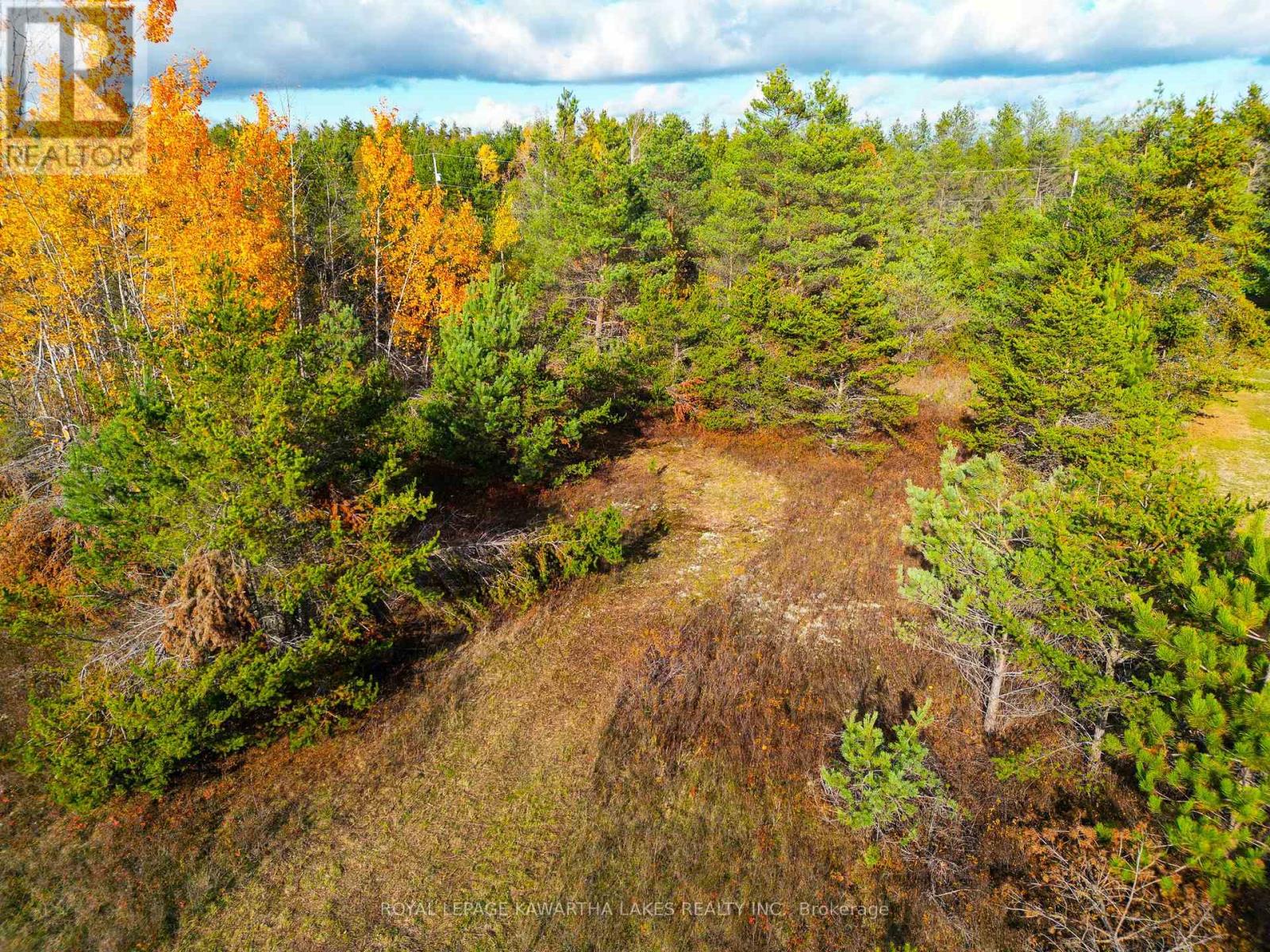 Lt 36 Hodgson Drive, Kawartha Lakes, Ontario  K0M 1C0 - Photo 6 - X13018478