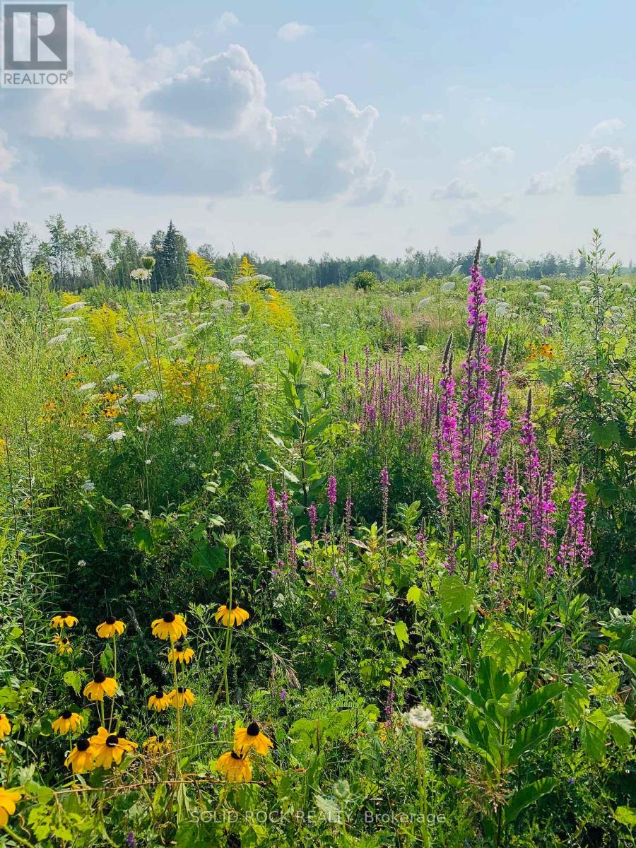 6372 Rothbourne Road, Ottawa, Ontario  K0A 1L0 - Photo 47 - X13018392