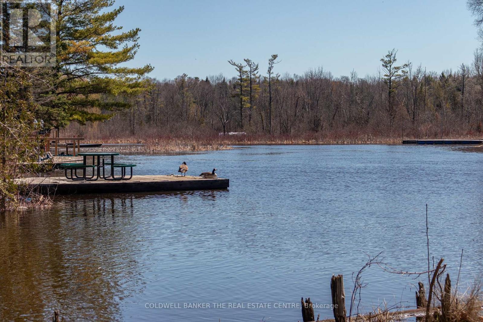 180 & 182 Riverbank Drive, Georgina, Ontario  L0E 1N0 - Photo 10 - N13018360