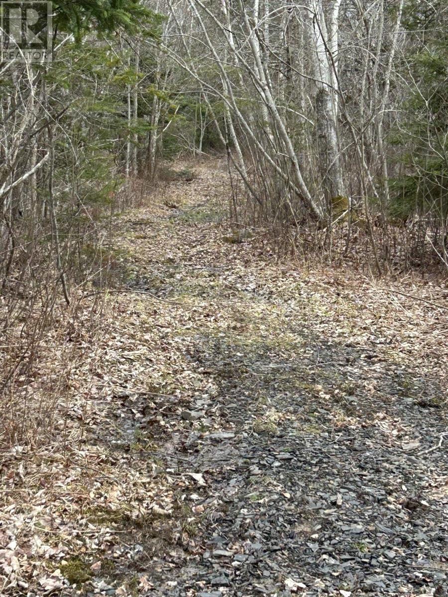 Lot Highway 215, Bramber, Nova Scotia  B0N 2A0 - Photo 39 - 202601903