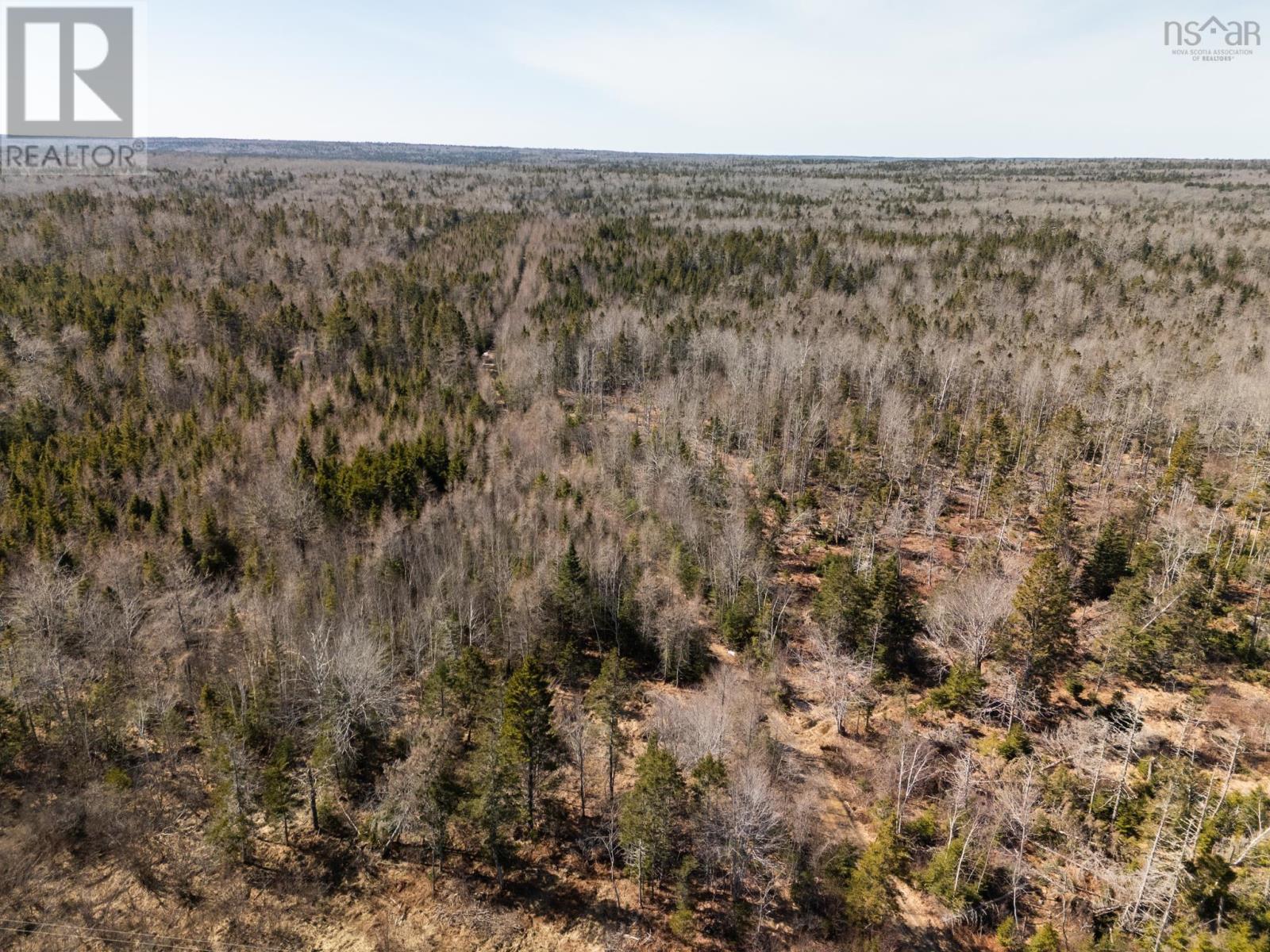 4607 Highway 340 Highway, Carleton, Nova Scotia  B5A 5P9 - Photo 40 - 202605037