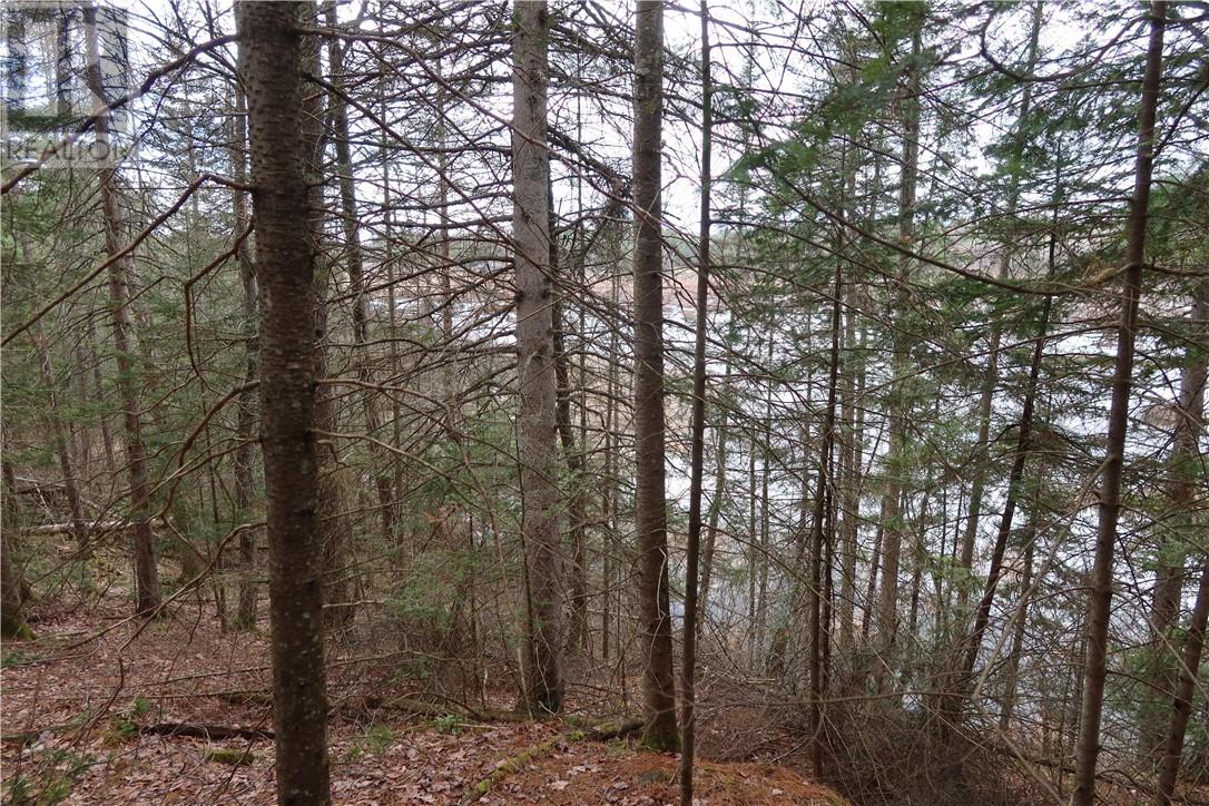 00 Faraway, Espanola, Ontario  P5E 1P4 - Photo 16 - 2127211