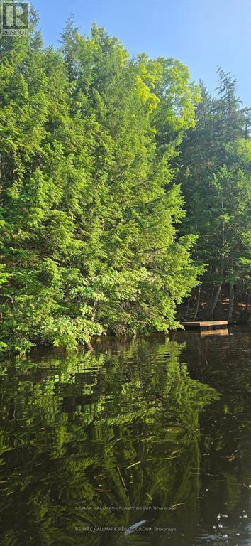 0 Madawaska River, Mcnab/braeside, Ontario  K0J 1G0 - Photo 4 - X13018498