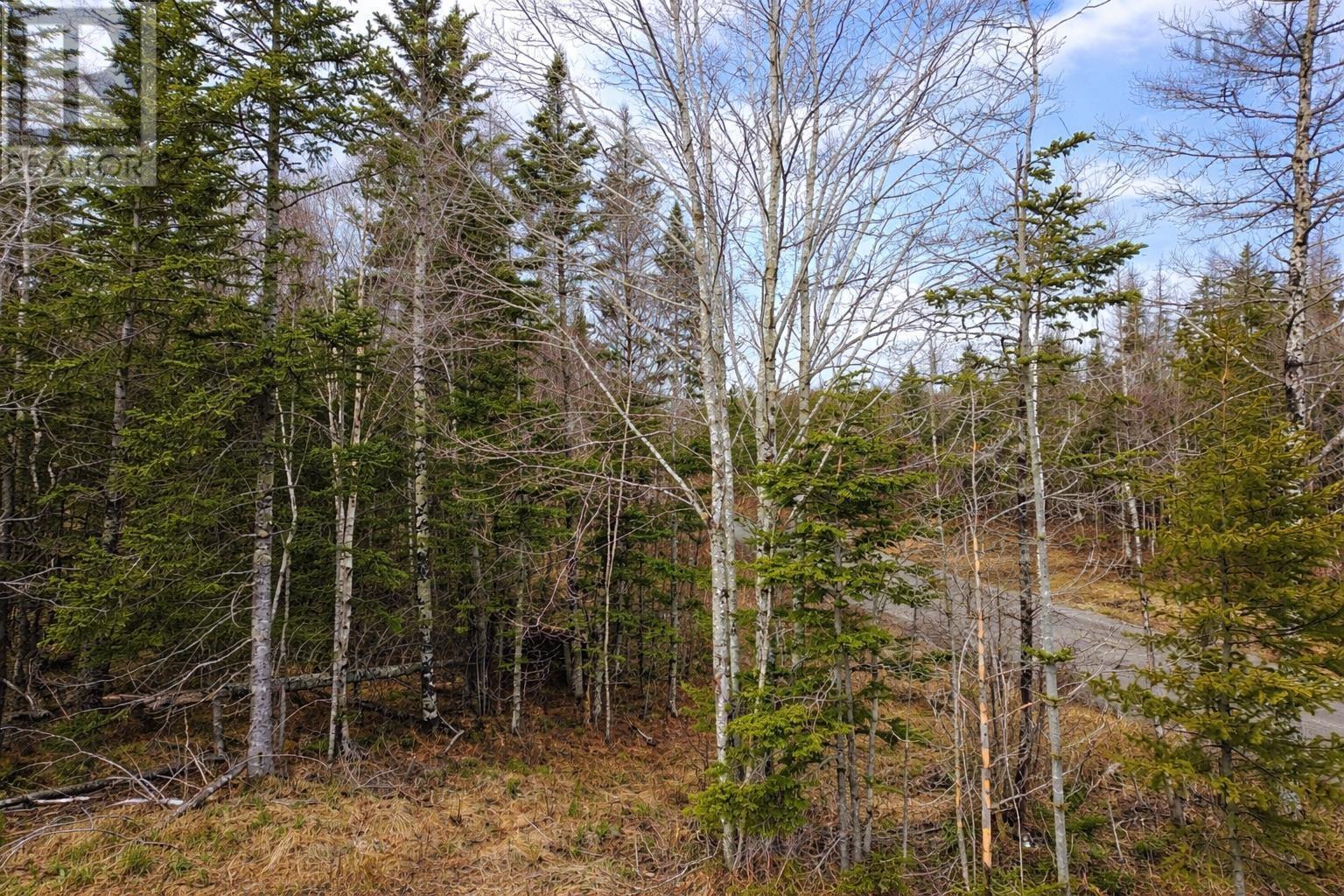 Lot 23 Lower River Road, Grantville, Grantville, Nova Scotia  B0E 1J0 - Photo 11 - 202607939