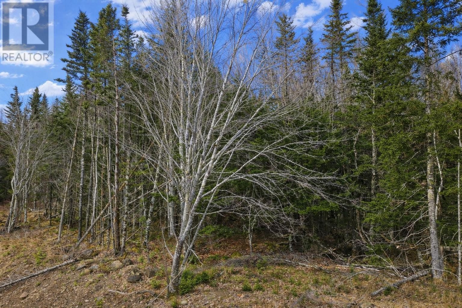 Lot 23 Lower River Road, Grantville, Grantville, Nova Scotia  B0E 1J0 - Photo 12 - 202607939