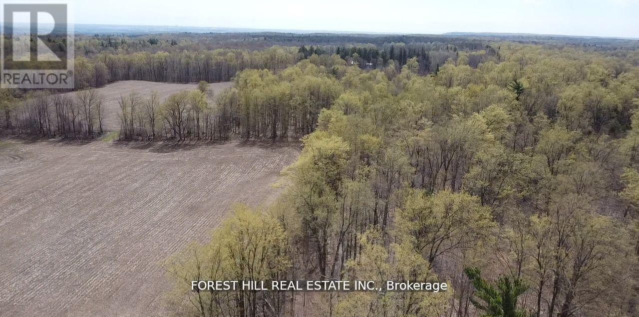 7406 17 Side Road, Halton Hills, Ontario  L7J 2M1 - Photo 6 - W13013458