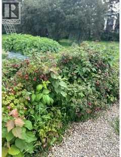 33233 Range Road 284, Rural Mountain View County, Alberta  T4H 1P2 - Photo 9 - A2299245