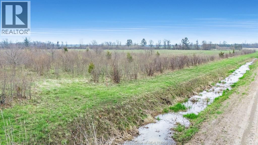 119 Victoria, Pelee Island, Ontario  N0R 1M0 - Photo 11 - 26008334