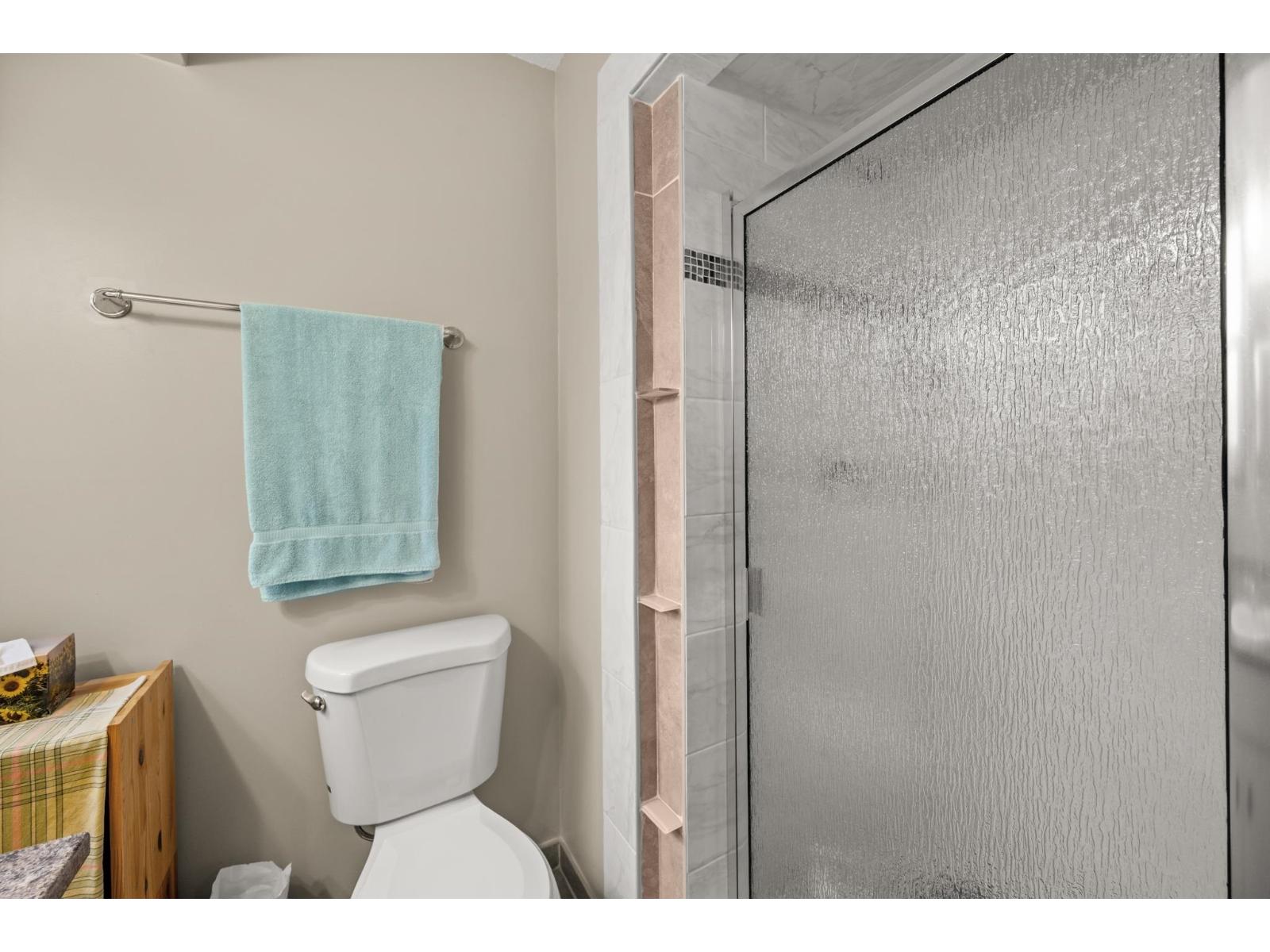 9315 213 Street, Langley, British Columbia  V1M 1Z6 - Photo 18 - R3112451