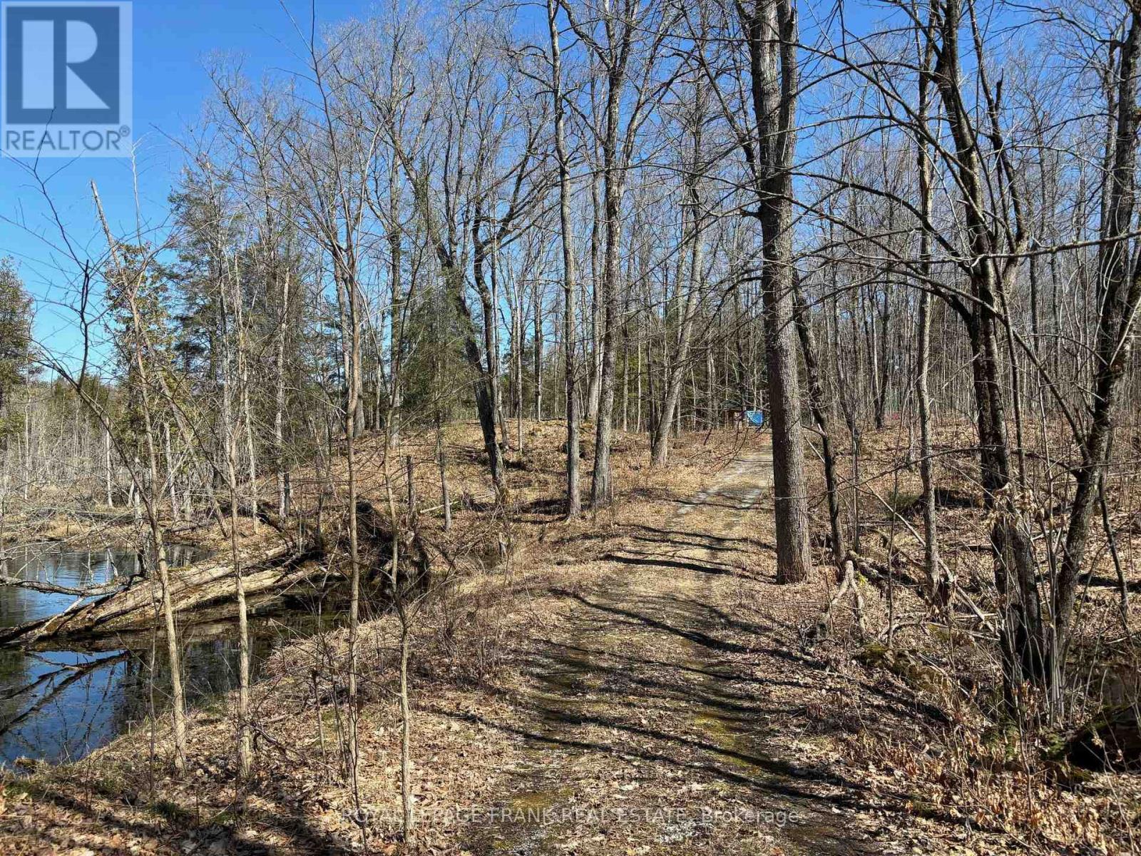 185 Julian Lake Road, North Kawartha, Ontario  K0L 3E0 - Photo 1 - X13018774