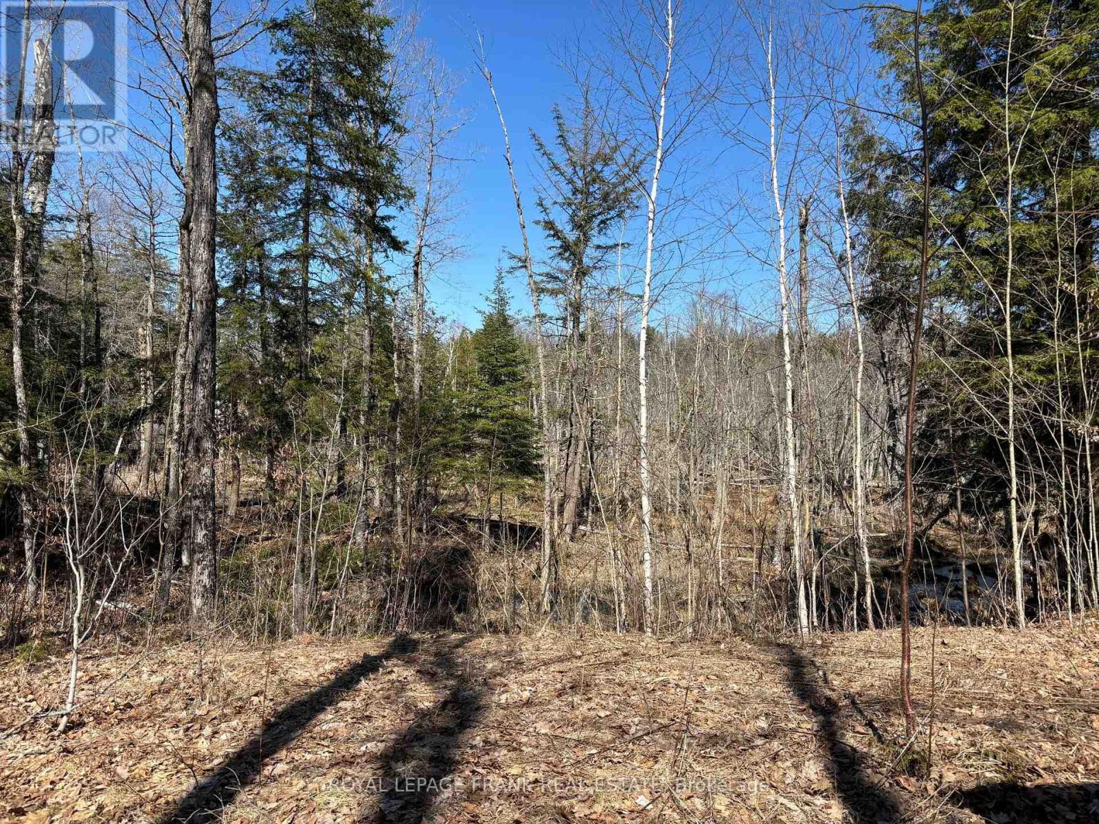 185 Julian Lake Road, North Kawartha, Ontario  K0L 3E0 - Photo 10 - X13018774