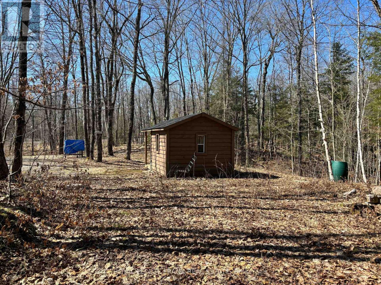 185 Julian Lake Road, North Kawartha, Ontario  K0L 3E0 - Photo 5 - X13018774