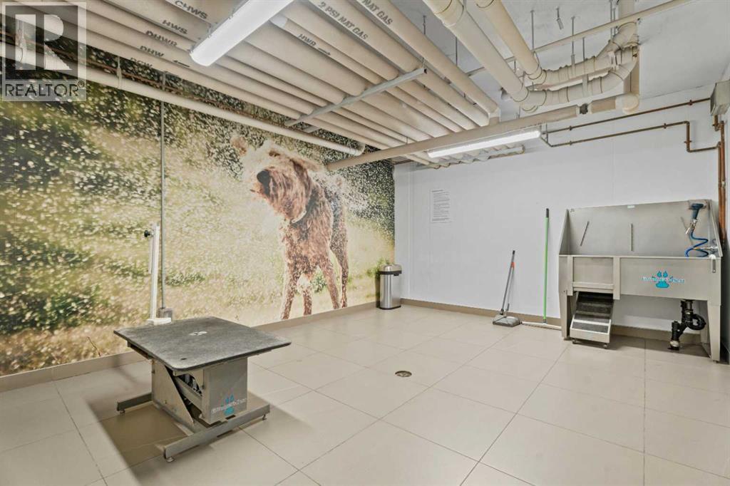 219, 88 9 Street Ne, Calgary, Alberta  T2E 4E1 - Photo 37 - A2302990