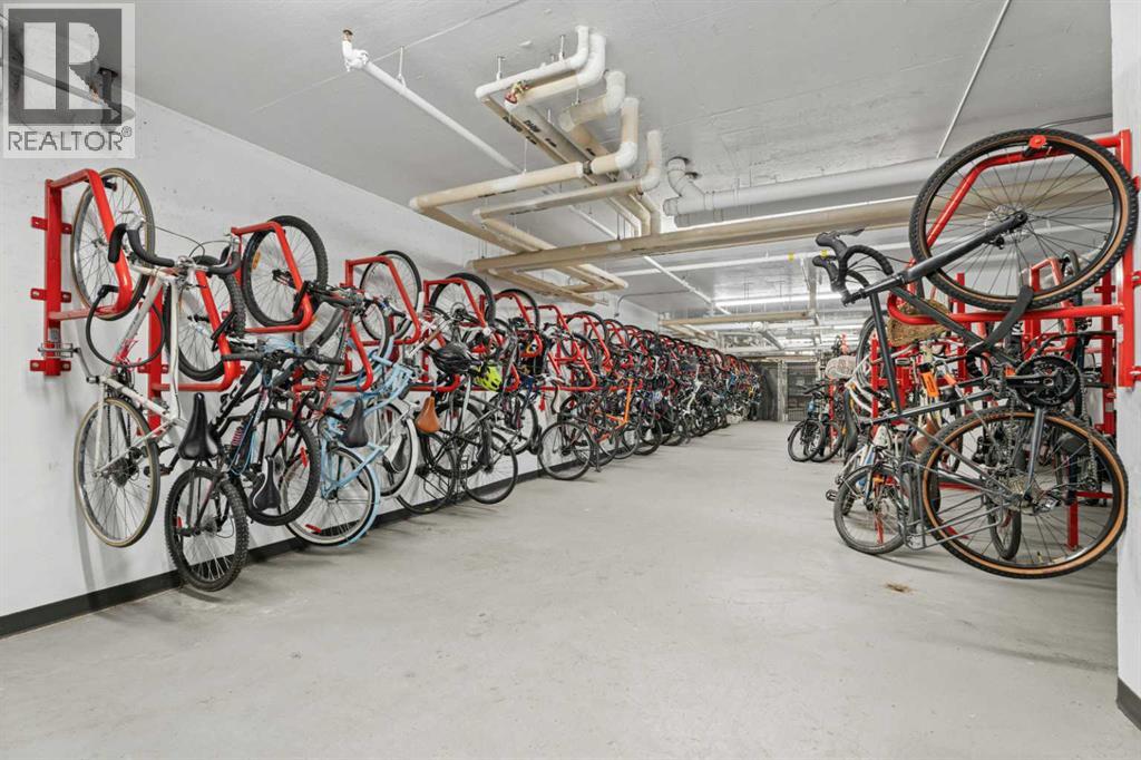 219, 88 9 Street Ne, Calgary, Alberta  T2E 4E1 - Photo 38 - A2302990