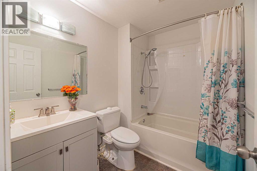 64 Castledale Crescent Ne, Calgary, Alberta  T3J 1X4 - Photo 18 - A2303317