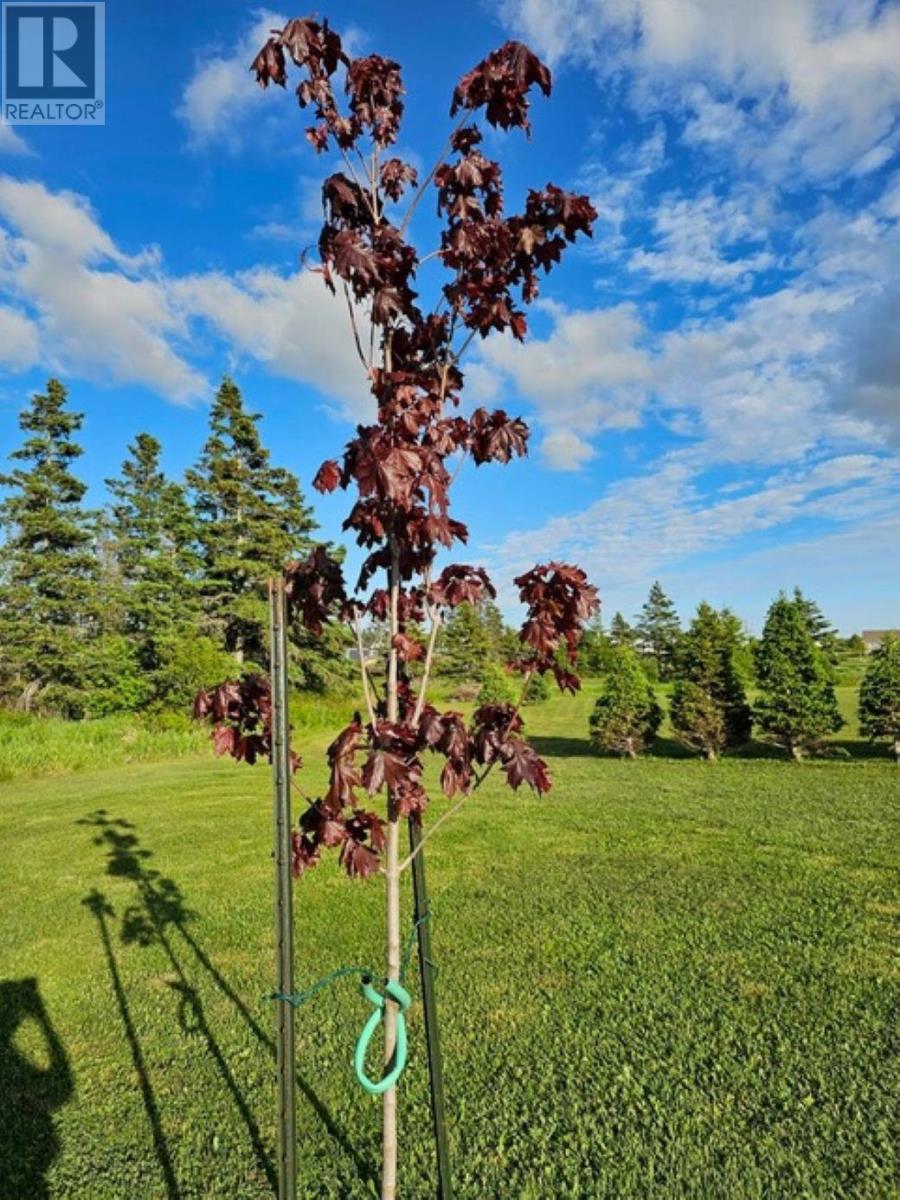 Lot 11 Heritage  River Road, Mermaid, Prince Edward Island  C1B 0Y6 - Photo 11 - 202605727