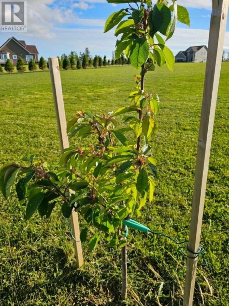 Lot 11 Heritage  River Road, Mermaid, Prince Edward Island  C1B 0Y6 - Photo 12 - 202605727